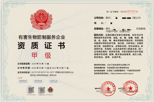 深圳企業(yè)信息技術咨詢服務 驅(qū)動數(shù)字化轉(zhuǎn)型的智慧引擎