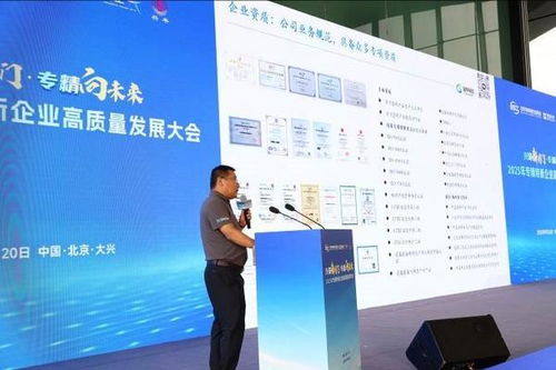 興聚新國門，專精向未來 2025專精特新企業高質量發展大會在京舉行，聚焦信息技術咨詢服務新動能