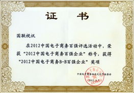 北京國聯視訊信息技術股份榮獲“2012中國電子商務百強企業(yè)”稱號，引領企業(yè)信息技術咨詢服務新浪潮